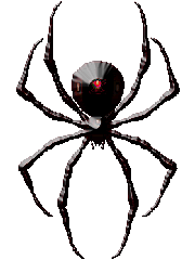 Araignee