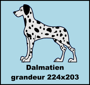 dalmatiens