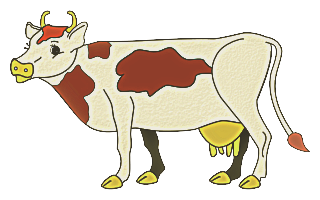 vaches