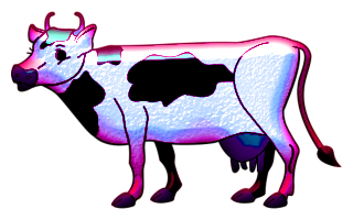 vaches